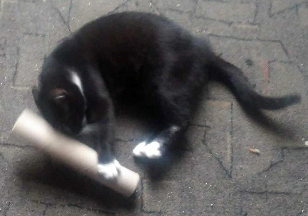 Jak mawiali moi rodzice: dobre dziecko byle czym się zabawi