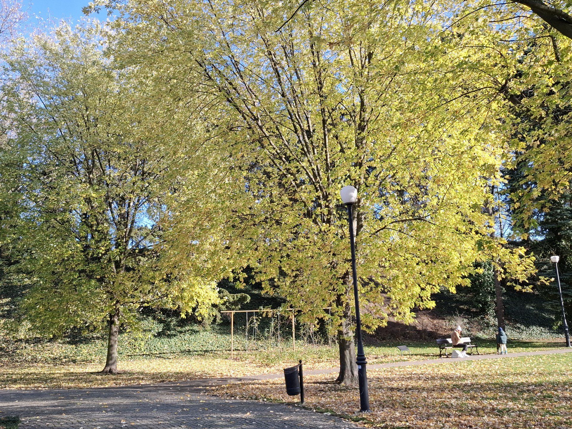 Czy to najpiękniejsze miejsce w Warszawie? Park w samym sercu Żoliborza zachwyca