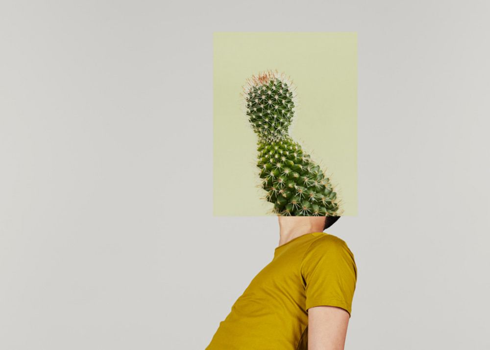 Konkurs PDN Photo Annual 2016 rozwiazany. Polak wśród zwycięzców 16