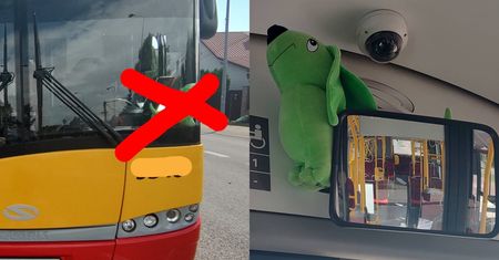 799 zł kary za pluszaka w autobusie miejskim. ZTM kontra jamnik