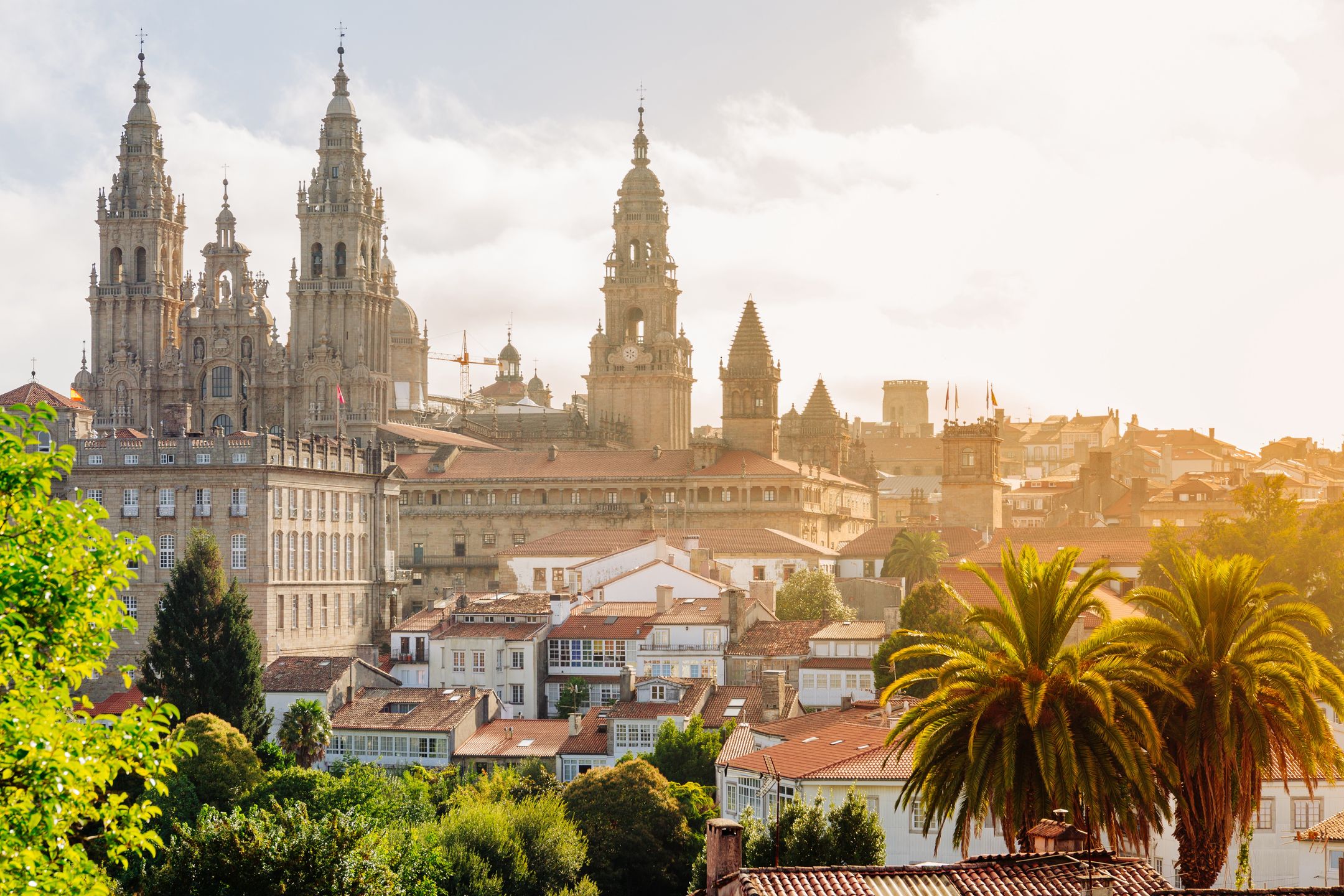 Katedra w 
Santiago de Compostela 