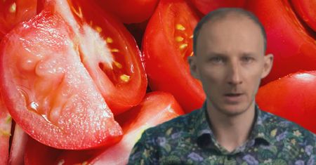 Masz 50 lat? Połącz pomidory z tym dodatkiem. Pomogą ci obniżyć cholesterol