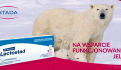Probiotyk Lactostad reklamowany w telewizji
