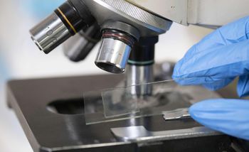 Nie będzie rosyjskiej viagry. Klęska projektu badawczego