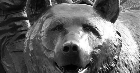 Niedźwiedź Wojtek celebrytą. Historię misia wystawi brytyjski teatr