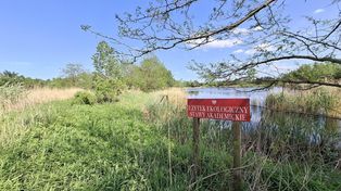 Bydgoszcz: Park Akademicki może być drugim Myślęcinkiem? "To, co tam zobaczyłem, zachwyciło mnie jako botanika"