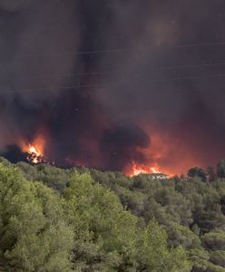 Hiszpania. Spłonęło 200 ha lasów. Wszystko przez niedopałek papierosa