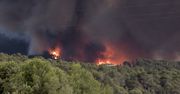 Hiszpania. Spłonęło 200 ha lasów. Wszystko przez niedopałek papierosa