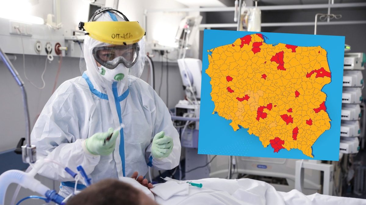 koronawirus żółta strefa