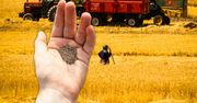 Nasiona pod ścisłą kontrolą. Rozdać można, sprzedaż zakazana