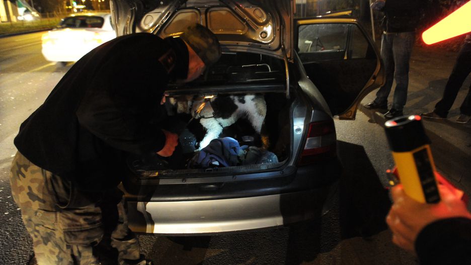 Policja podczas kontroli drogowej może zajrzeć do bagażnika samochodu. Przewożenie w nim niektórych przedmiotów może skutkować mandatem