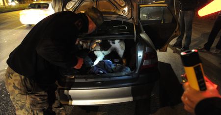 Są rzeczy, których nie wolno wozić w bagażniku. Z wielu z nich korzysta każdy