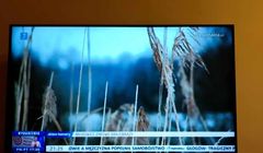 Multipleks nadaje niezgodnie z decyzją UKE. „Przyjrzymy się sprawie”