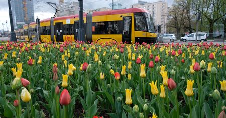 Warszawa. Remont torowiska na pl. Grunwaldzkim na Żoliborzu. Tramwaje na objazdach