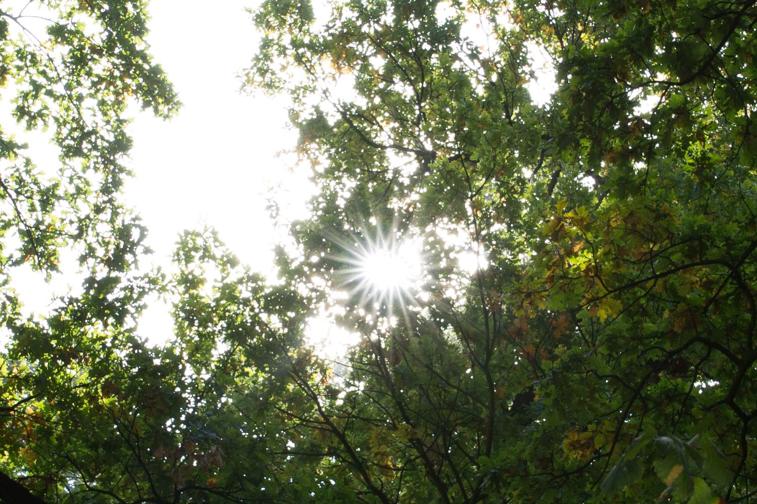 Tamron SP 35 mm f/1.8 Di VC USD - na rynku dzieje się coraz ciekawiej [recenzja] 24