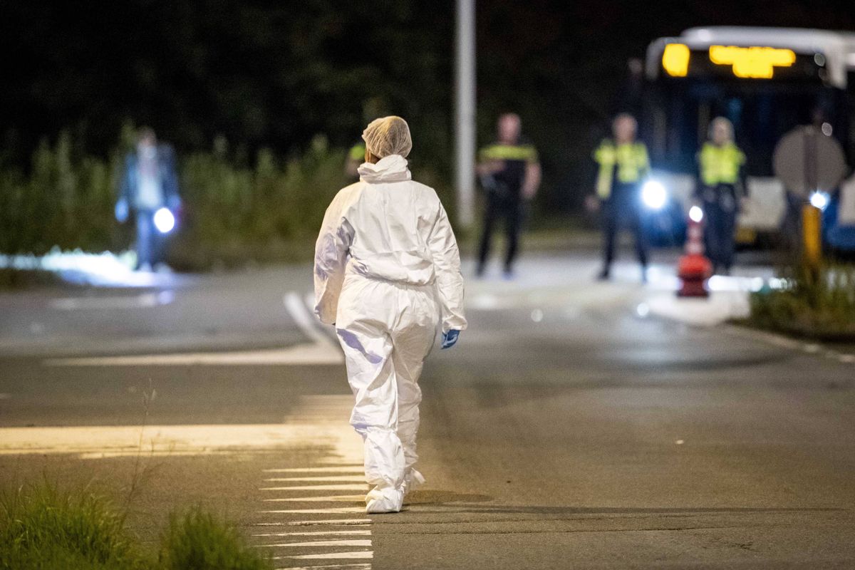 polacy za granicą, holandia, zabójstwo Polak znaleziony martwy. Miał zmasakrowaną twarz