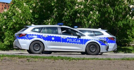 Nie żyje kobieta. Zabił ją podczas rodzinnego grilla?