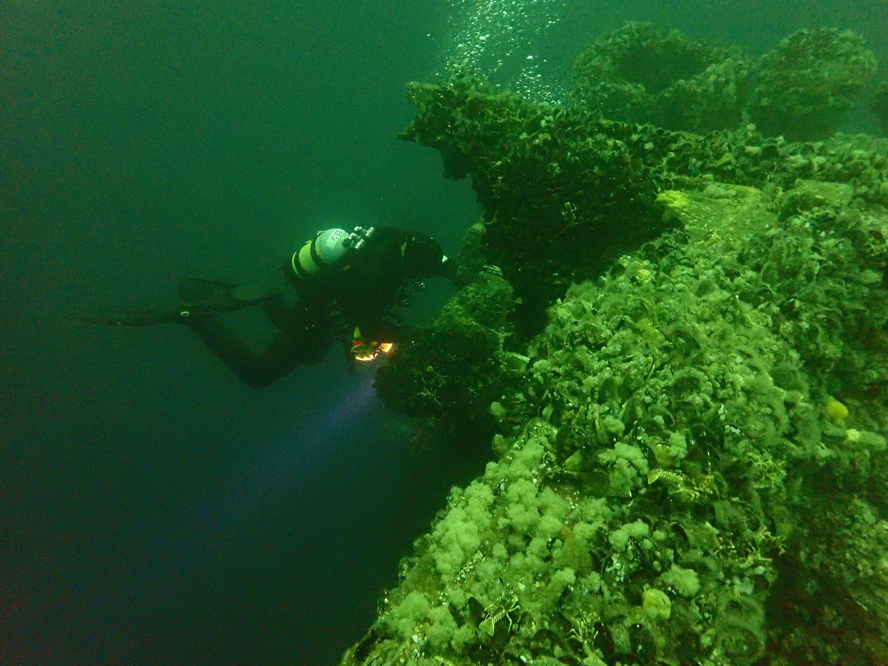 Shipwrecks at the bottom of the sea