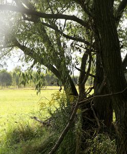 Wołomin. Są wyniki sekcji zwłok dwóch 13-latek