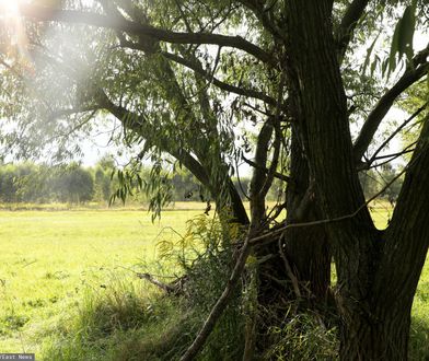 Wołomin. Są wyniki sekcji zwłok dwóch 13-latek