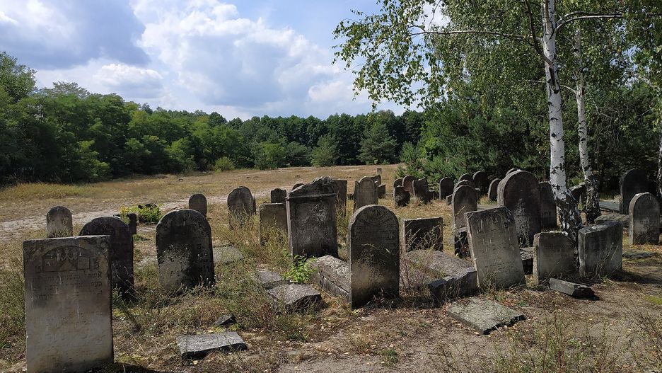 Cmentarz żydowski w Żarkach 