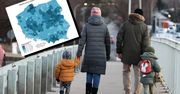 Tanie mieszkania to recepta na niską dzietność? Liczy się co innego [ANALIZA]
