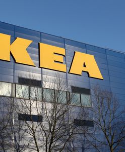 IKEA chce przyjąć uchodźców. Już ponad 30 zgłoszeń w rekrutacji