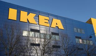 IKEA chce przyjąć uchodźców. Już ponad 30 zgłoszeń w rekrutacji