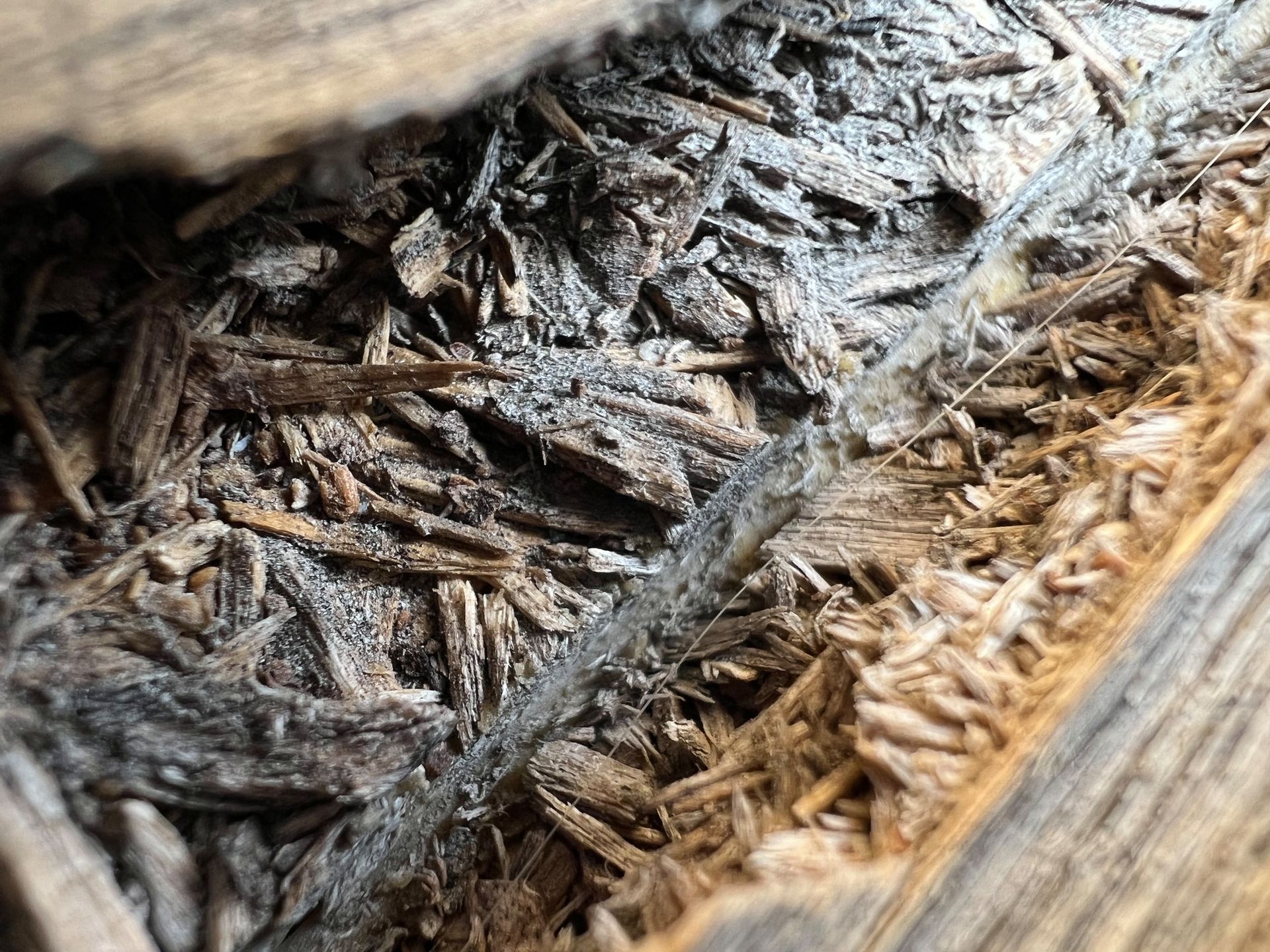 iPhone 13 Pro Max: test. Godny konkurent dla flagowców z Androidem 73