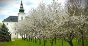 Zabór: Bajeczny park po rewitalizacji