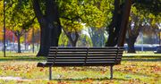 Łódź: Park Mirabelka oficjalnie otwarty. Nowa przestrzeń rekreacyjna dla mieszkańców