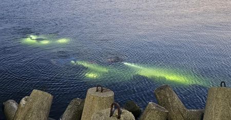 Zanurkowali do Bałtyku. Wyciągnęli, co najgorsze
