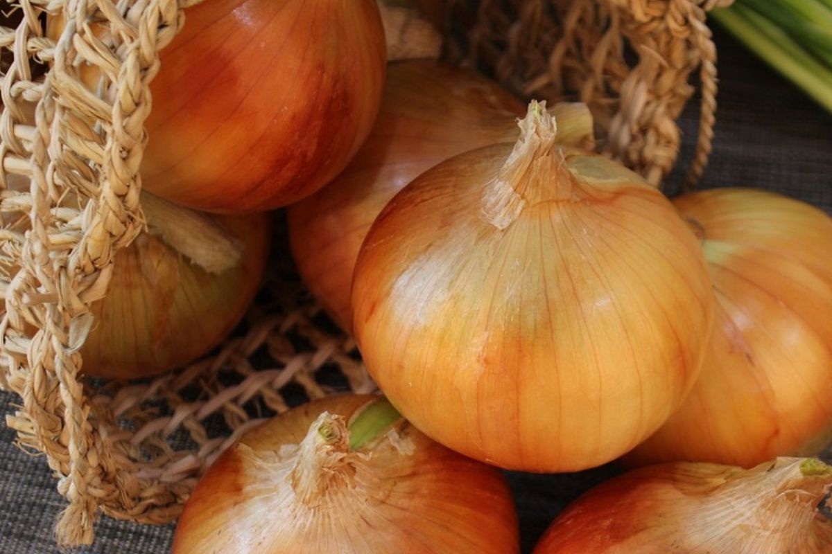 Cebula doskonale radzi sobie z przeziębieniem 