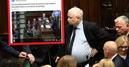 Kaczyński podszedł do Hołowni. Jest nagranie