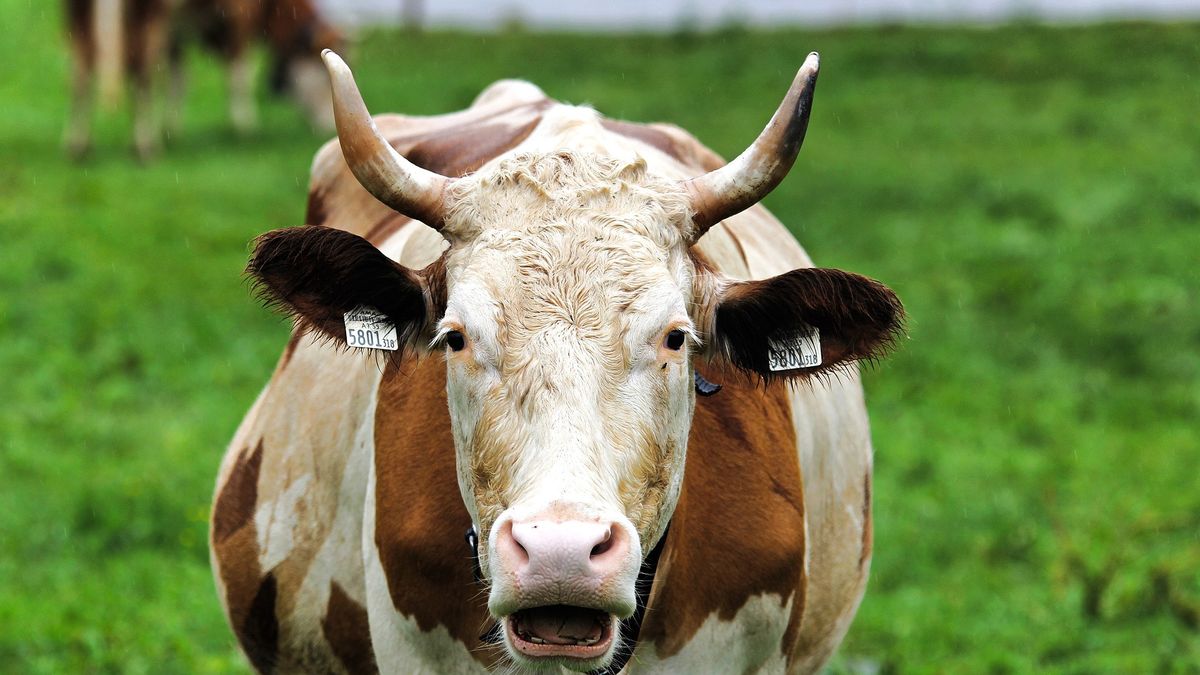 Zdjęcie ilustracyjne.