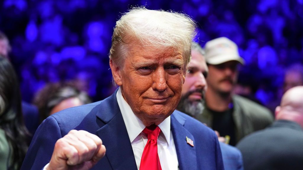 Prezydent - elekt Donald Trump