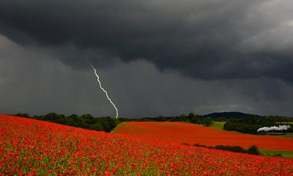 Inspirujące konkursy fotograficzne, których jeszcze nie znacie 3