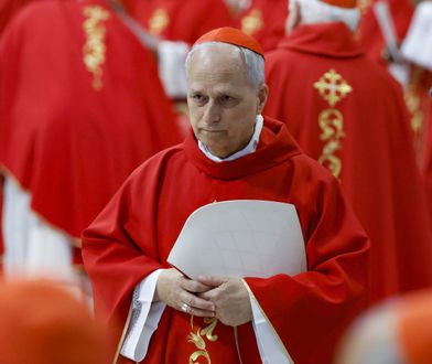 Papież z Chicago. Oto kim jest Robert Prevost i jakie ma poglądy [SYLWETKA]