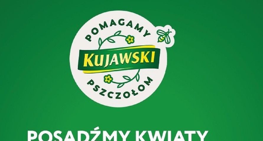 Marka Kujawski z kolejną akcją pomocy pszczołom