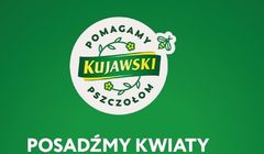 Marka Kujawski z kolejną akcją pomocy pszczołom