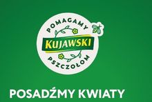Kujawski