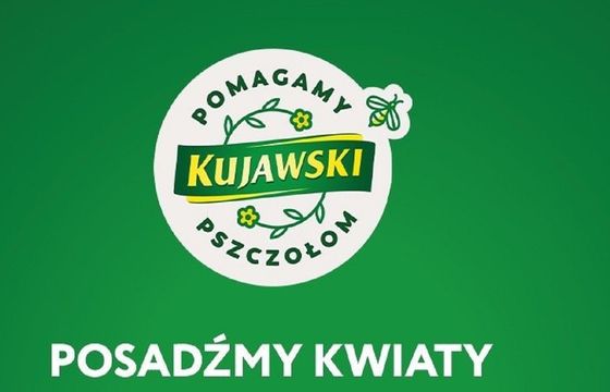 Marka Kujawski z kolejną akcją pomocy pszczołom