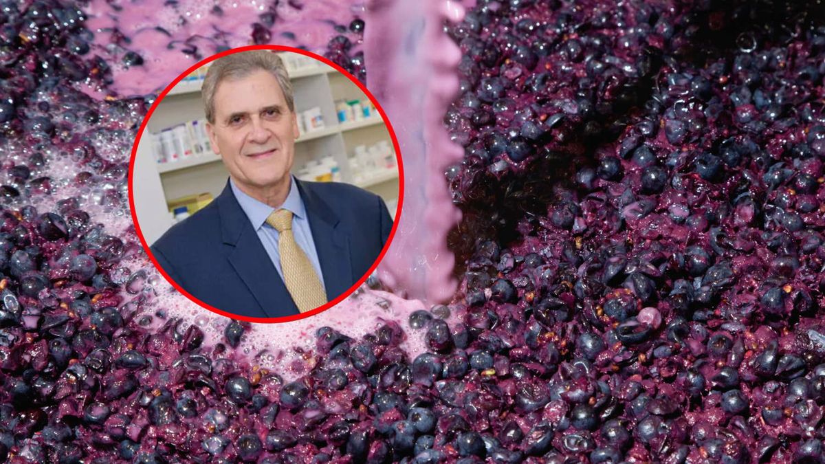 Niepozorne owoce mogą okazać się sekretem długowieczności