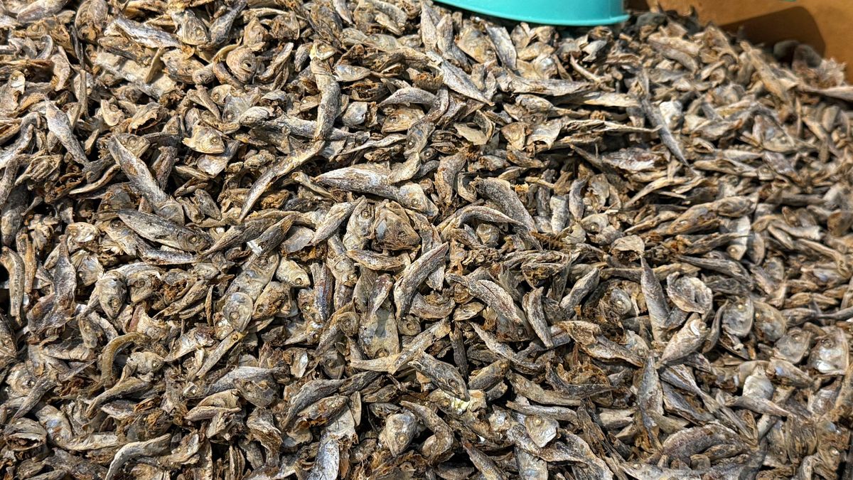 Suszone rybki dostarczają pełnowartościowe białko, wapń i kwasy omega-3.