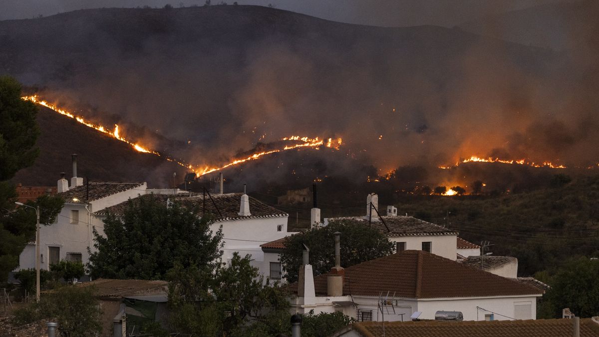 Almeria Wildfires Amongst Deadliest In Spanish History
Pablo Blazquez Dominguez
bestof, topix
