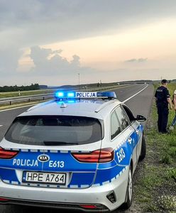 Świebodzin. Blisko tragedii na S3. Dwie osoby jechały rowerem drogą ekspresową