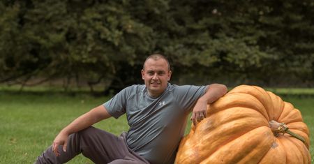 Waży tyle, co mały słoń. Anglik pokazał gigantyczną dynię
