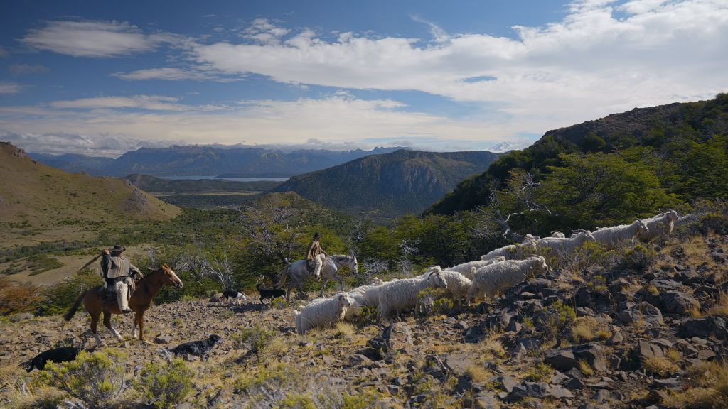 Kadr z filmu "Patagonia. Życie na krańcu świata" © dystr. FREMANTLEMEDIA LIMITED 2022.