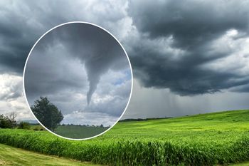 Nietypowy widok na północy Polski. "Prawie jak w Ameryce"