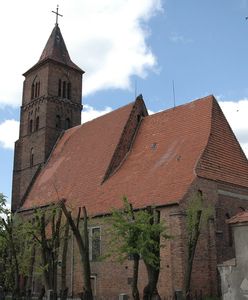 Tajemnice w podziemiach. Co pokazały badania georadarem?